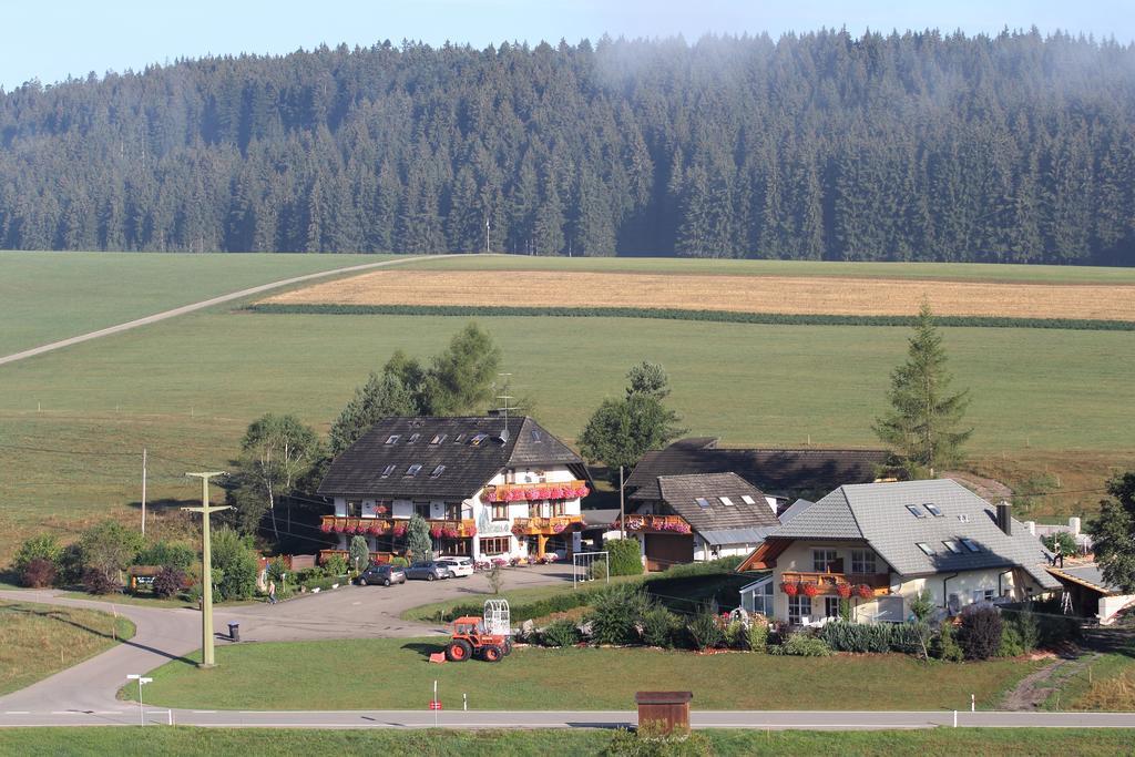 Pension Altvogtshof Eisenbach  Esterno foto