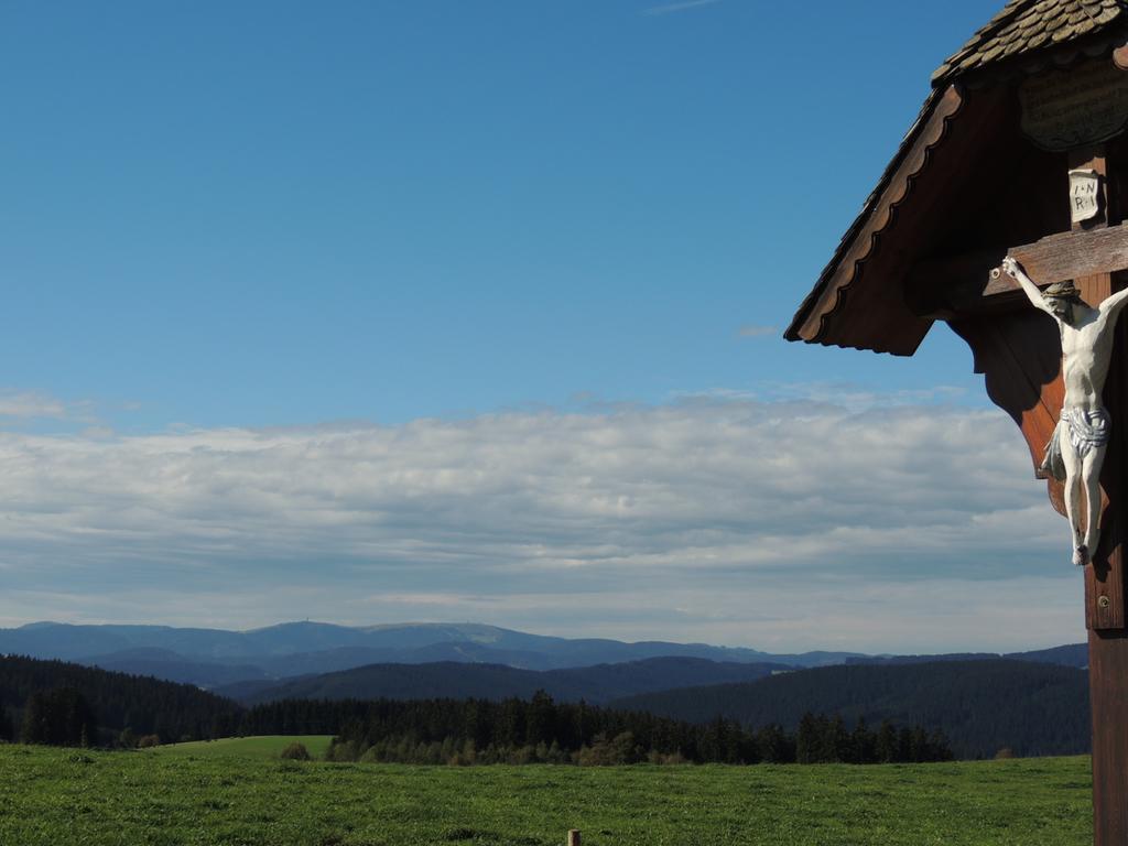 Pension Altvogtshof Eisenbach  Esterno foto