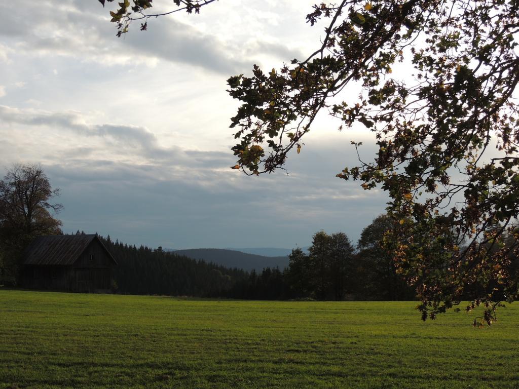 Pension Altvogtshof Eisenbach  Esterno foto