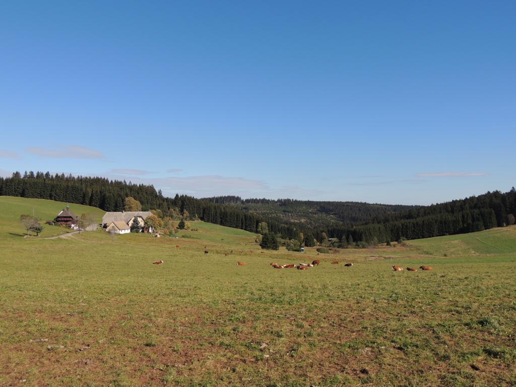 Pension Altvogtshof Eisenbach  Esterno foto