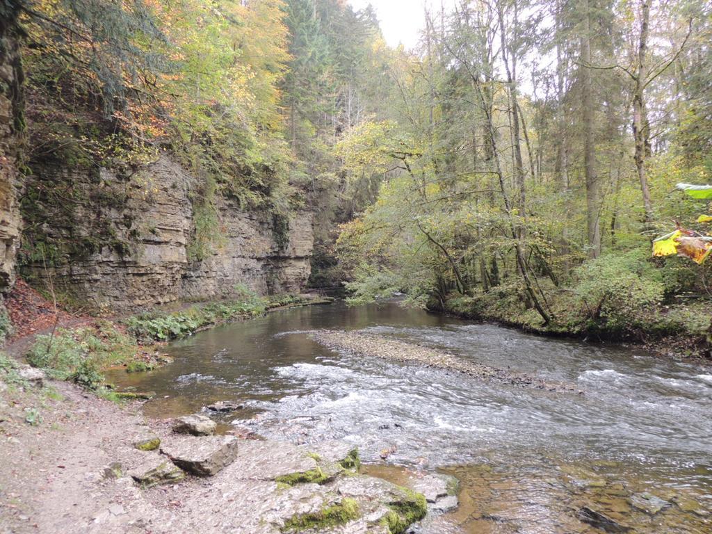 Pension Altvogtshof Eisenbach  Esterno foto