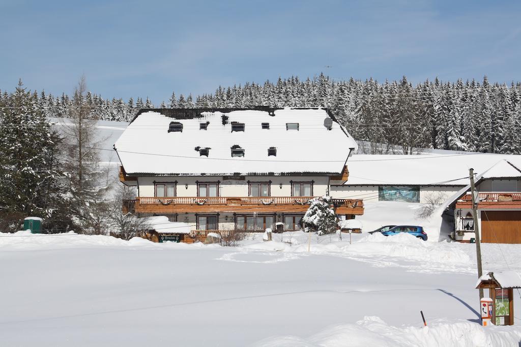 Pension Altvogtshof Eisenbach  Esterno foto