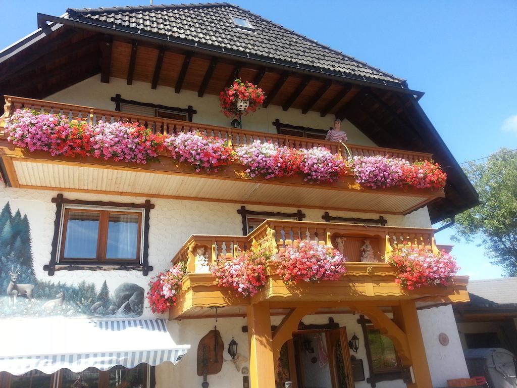 Pension Altvogtshof Eisenbach  Esterno foto