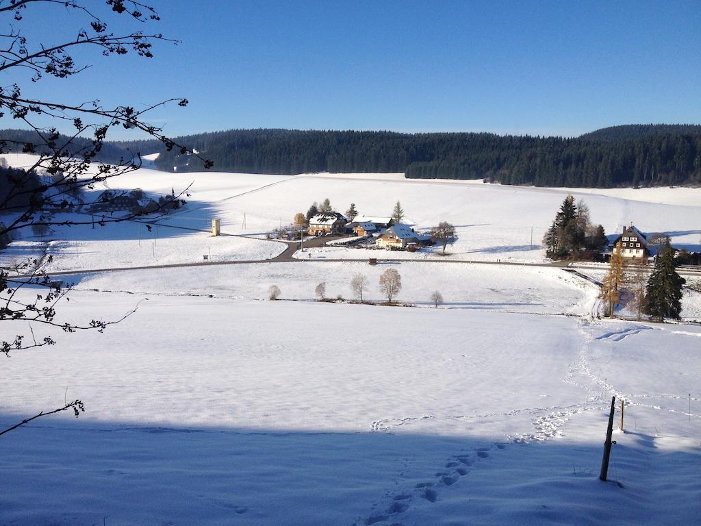 Pension Altvogtshof Eisenbach  Esterno foto
